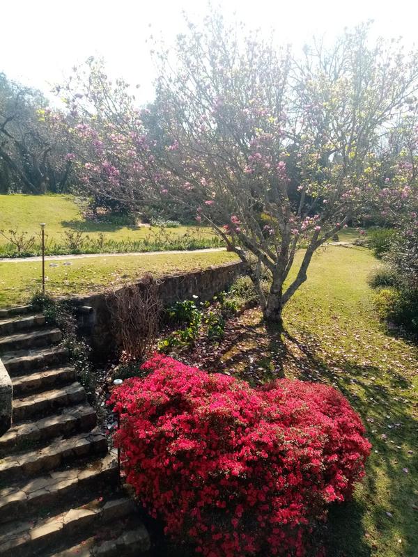 3 Bedroom Property for Sale in Hogsback Eastern Cape